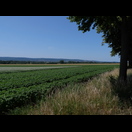 Der Deister